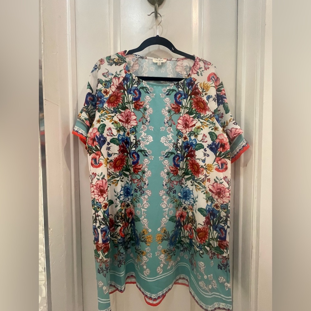 Umgee Floral Print dress with Blue and Red Accents